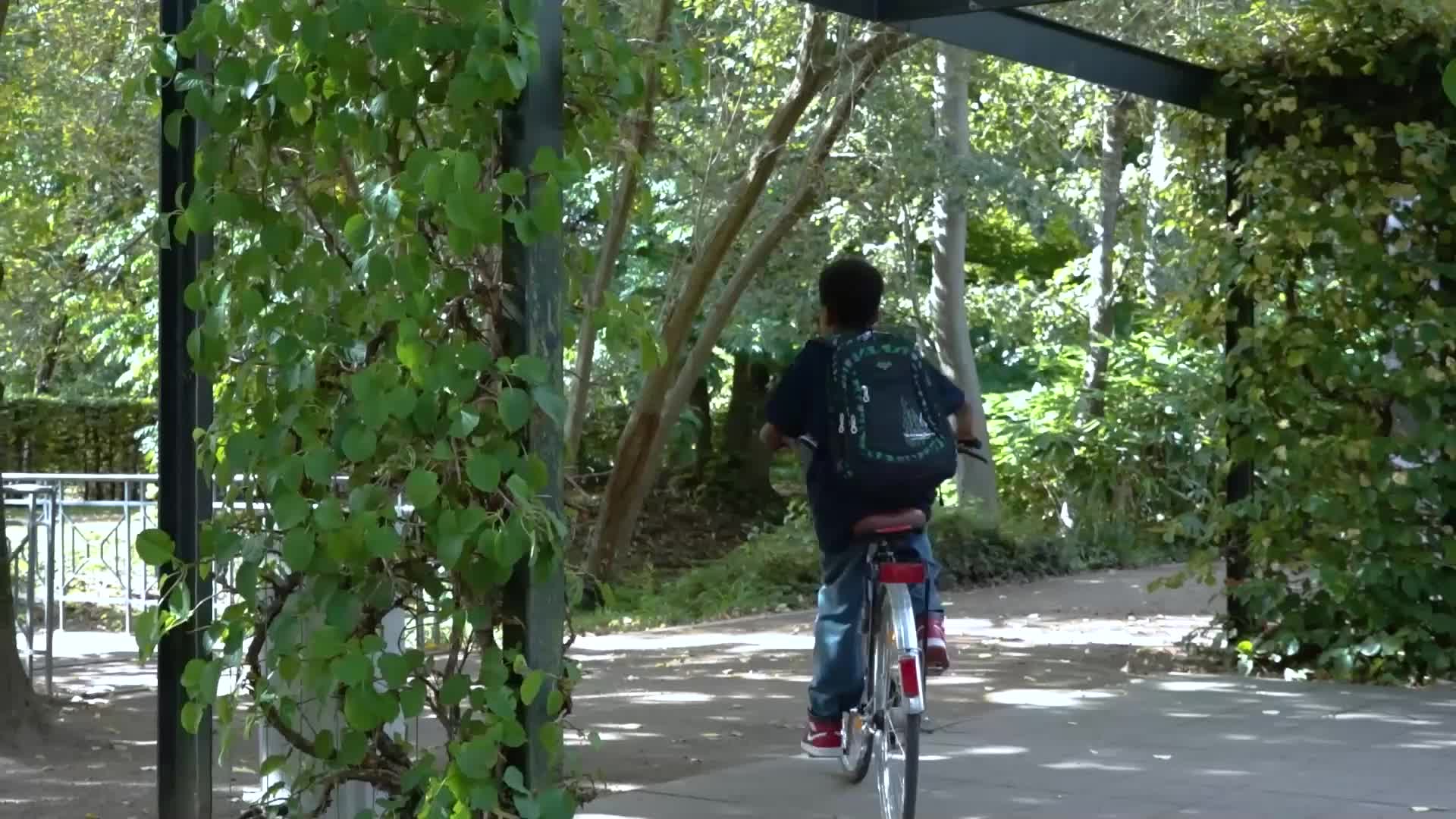 ''Das Dings in Oberbilk gesichtet 2025'' Teil 2